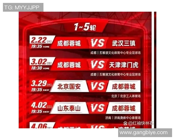 成都网球队防守体系解析与战术运用探讨